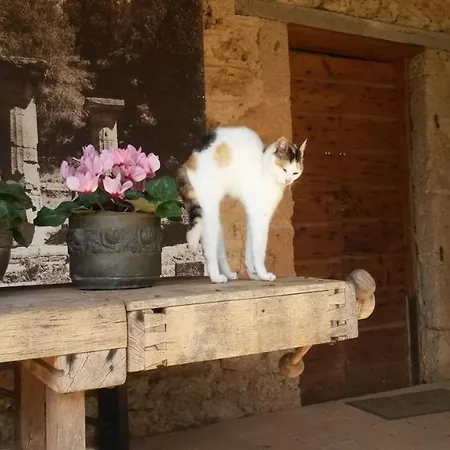 Villa Feia Katakolo